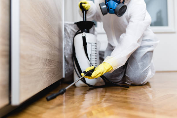 Best Pest Inspection Near Me  in St Elmo, IL