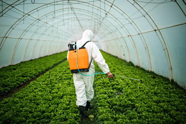 Pest Prevention Services in St Elmo, IL