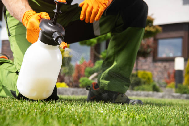 Best Rat Extermination Near Me  in St Elmo, IL