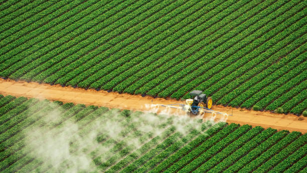 Best Mosquito Control Services  in St Elmo, IL
