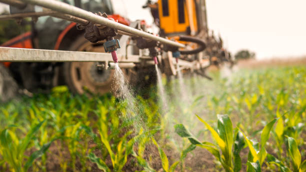 Best Commercial Pest Control Services  in St Elmo, IL